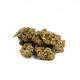 Nasiona KATE CBD 20-24% THC 0.7-0.9% | TanieSianie.pl