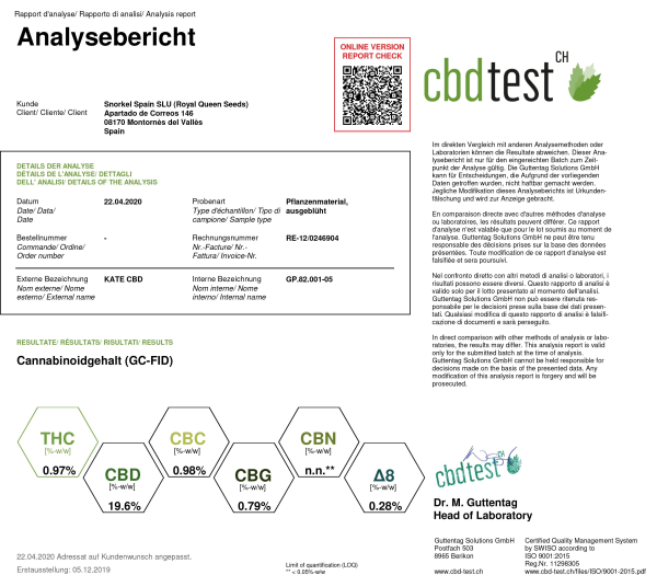 Nasiona KATE CBD 20-24% THC 0.7-0.9% | TanieSianie.pl