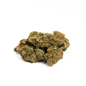 Nasiona AMEERA CBD 20-24% THC 0.7-0.9% | TanieSianie.pl