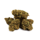 Nasiona MEGHAN CBD 15-17% THC 0.6-0.7% | TanieSianie.pl
