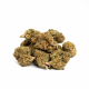 Nasiona CATHARINE CBD 14-16% THC 0.5-0.6% | TanieSianie.pl