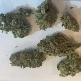 Nasiona LETIZIA CBD 10-13% THC 0.4-0.55% | TanieSianie.pl