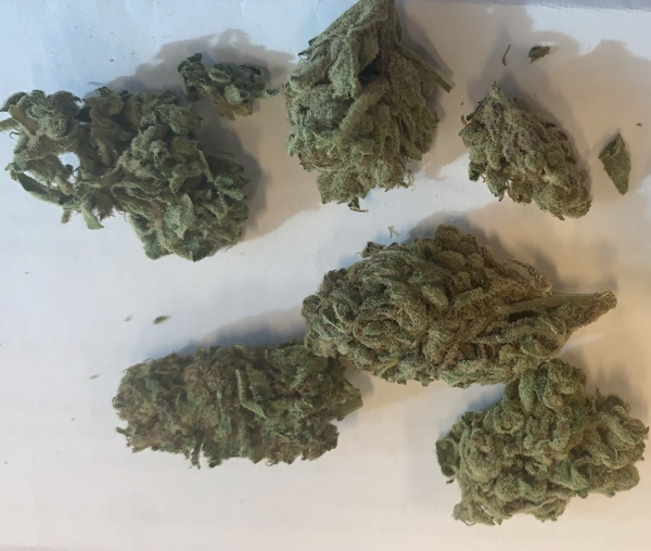 Nasiona LETIZIA CBD 10-13% THC 0.4-0.55% | TanieSianie.pl