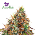 Cherry Kiss - ANESIA SEEDS