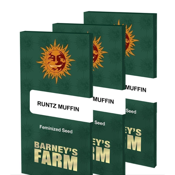 Runtz Muffin - BARNEY'S FARM | TanieSianie.pl
