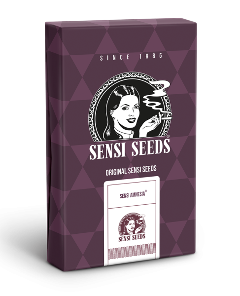 Sensi Amnesia - SENSI SEEDS | TanieSianie.pl
