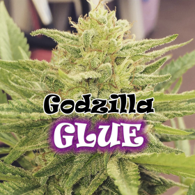Godzilla Glue - DR UNDERGROUND | TanieSianie.pl