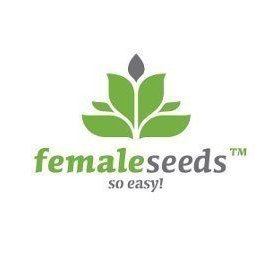 Fast Nevills - FEMALE SEEDS | TanieSianie.pl