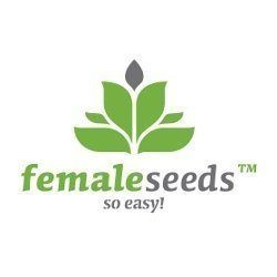 Fast Nevills - FEMALE SEEDS | TanieSianie.pl