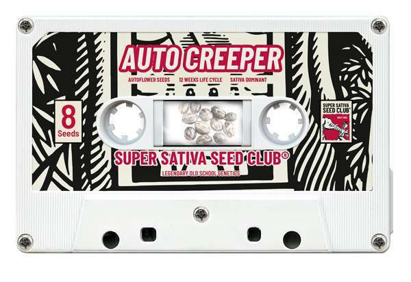 Auto Creeper - Super Sativa Seed Club | TanieSianie.pl