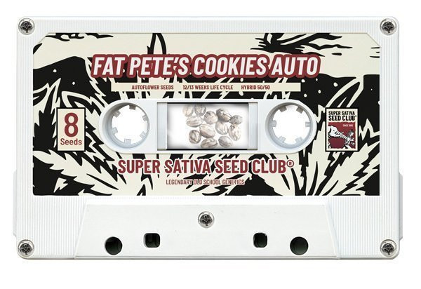 Fat Pete's Cookies Auto - Super Sativa Seed Club | TanieSianie.pl