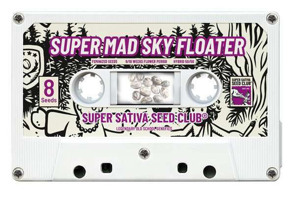 Super Mad Sky Floater - Super Sativa Seed Club | TanieSianie.pl