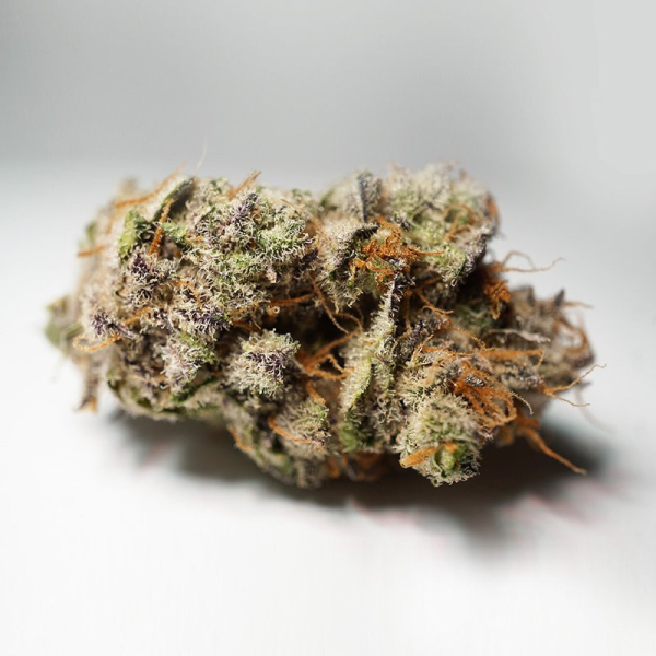 Lava Freeze - Super Sativa Seed Club | TanieSianie.pl