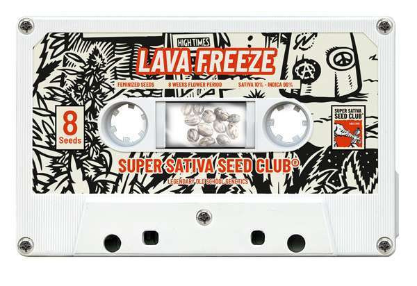 Lava Freeze - Super Sativa Seed Club | TanieSianie.pl