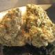 Lemon OG - Super Sativa Seed Club | TanieSianie.pl