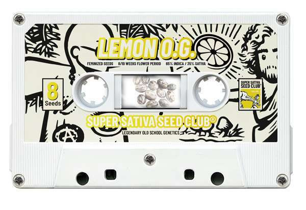 Lemon OG - Super Sativa Seed Club | TanieSianie.pl