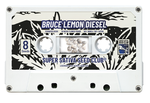 Bruce Lemon Diesel - Super Sativa Seed Club | TanieSianie.pl