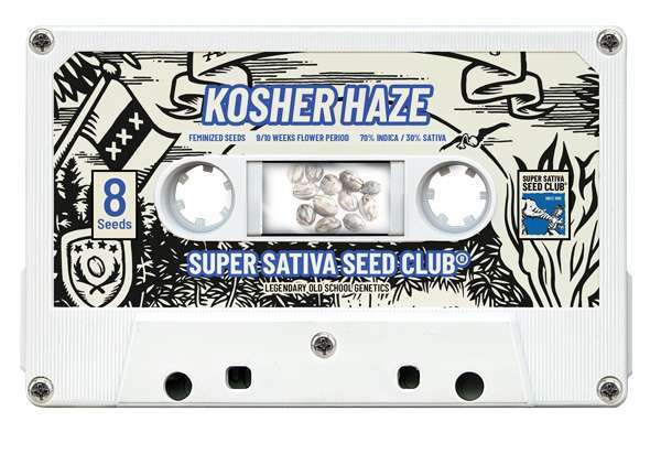 Kosher Haze - Super Sativa Seed Club | TanieSianie.pl