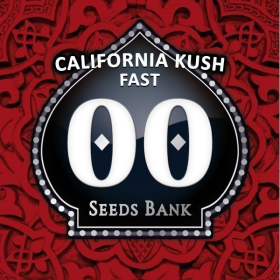 California Kush fast - 00 SEEDS BANK | TanieSianie.pl