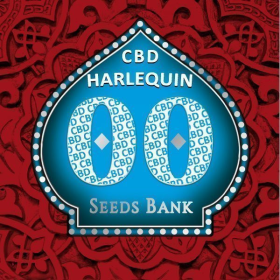Harlequin CBD - 00 SEEDS BANK | TanieSianie.pl
