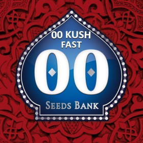 00 Kush Fast - 00 SEEDS BANK | TanieSianie.pl