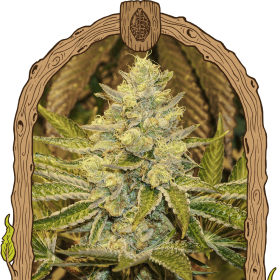 Exotic Animal - EXOTIC SEED