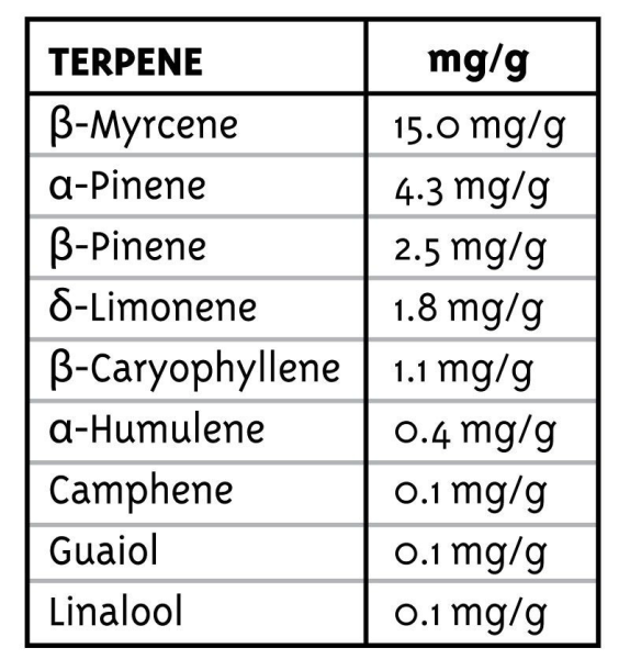 All Gas OG - HUMBOLDT SEED COMPANY | TanieSianie.pl