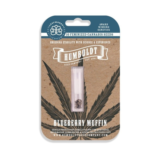 Blueberry Muffin - HUMBOLDT SEED COMPANY | TanieSianie.pl