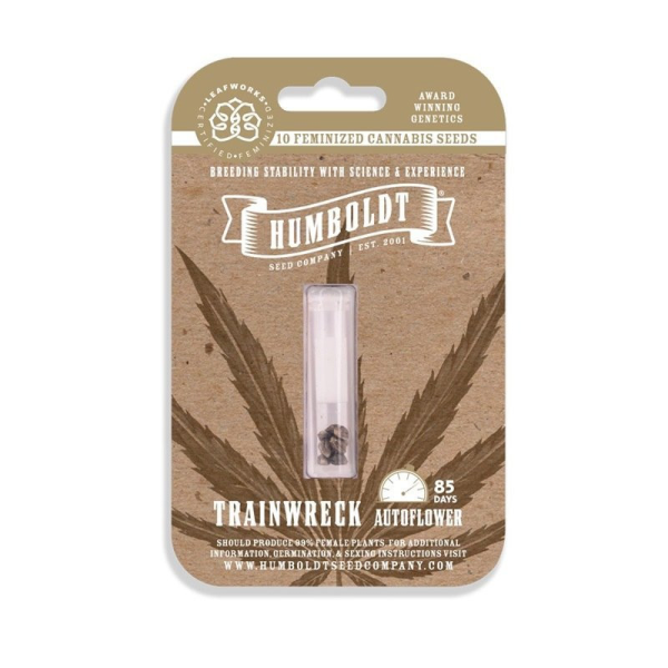 Trainwreck Auto - HUMBOLDT SEED COMPANY | TanieSianie.pl