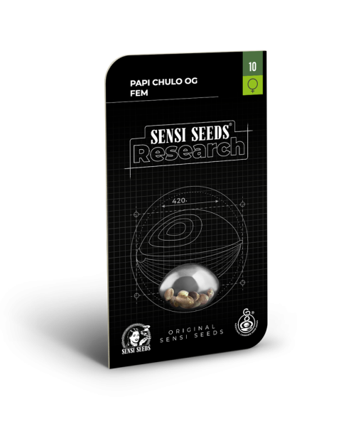 Papi Chulo OG - SENSI SEEDS | TanieSianie.pl