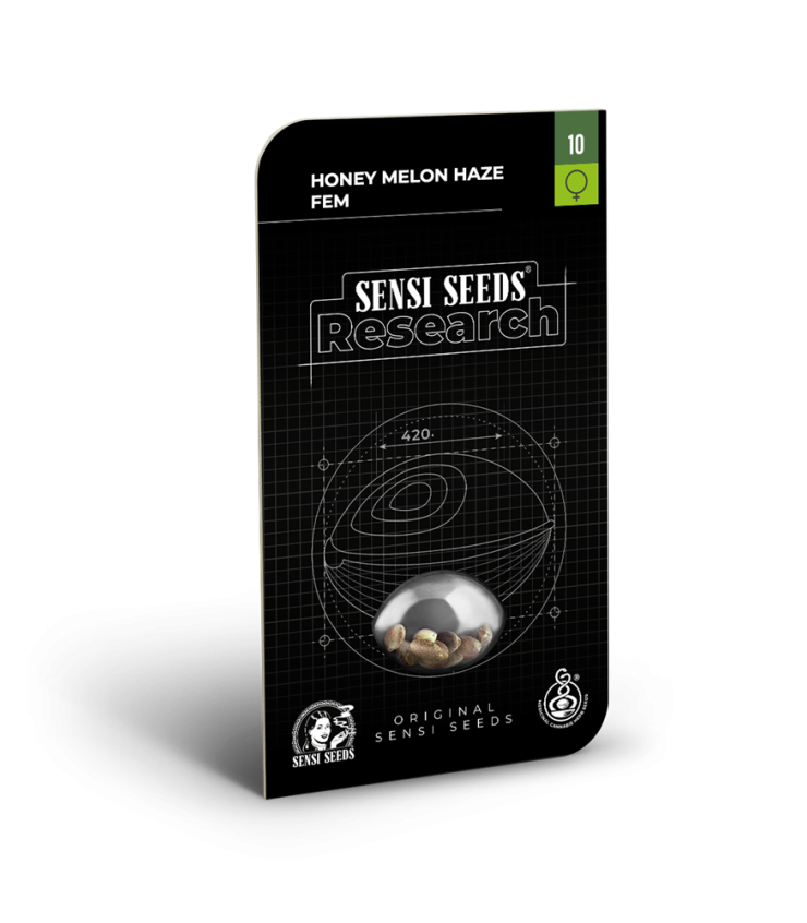 Honey Melon Haze - SENSI SEEDS | TanieSianie.pl