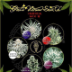 Indica Mix E - GREEN HOUSE SEEDS | TanieSianie.pl