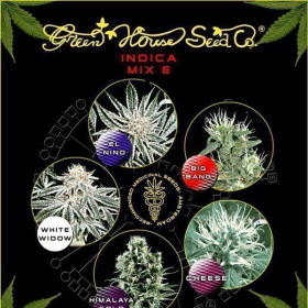 Indica Mix E - GREEN HOUSE SEEDS | TanieSianie.pl