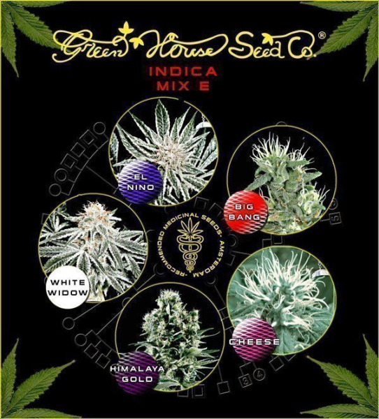 Indica Mix E - GREEN HOUSE SEEDS | TanieSianie.pl