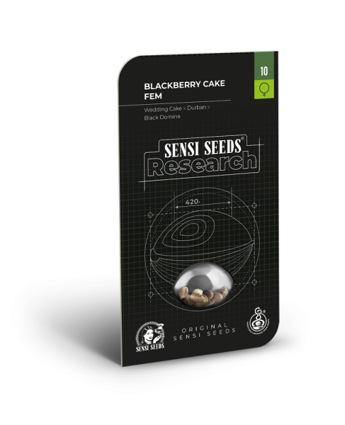 Blackberry Cake - SENSI SEEDS | TanieSianie.pl