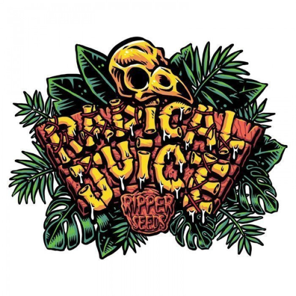 Radical Juice - RIPPER SEEDS | TanieSianie.pl