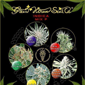 Indica Mix F - GREEN HOUSE SEEDS | TanieSianie.pl
