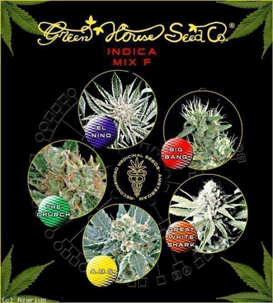 Indica Mix F - GREEN HOUSE SEEDS | TanieSianie.pl