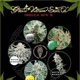 Indica Mix G - GREEN HOUSE SEEDS | TanieSianie.pl