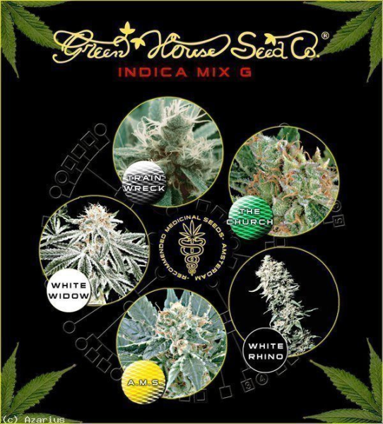 Indica Mix G - GREEN HOUSE SEEDS | TanieSianie.pl