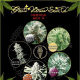 Indica Mix H - GREEN HOUSE SEEDS | TanieSianie.pl