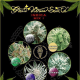 Indica Mix I - GREEN HOUSE SEEDS | TanieSianie.pl