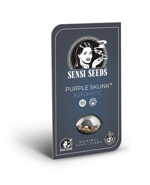 Purple Skunk Auto - SENSI SEEDS | TanieSianie.pl