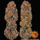 Runtz x Layer Cake - BARNEY'S FARM | TanieSianie.pl