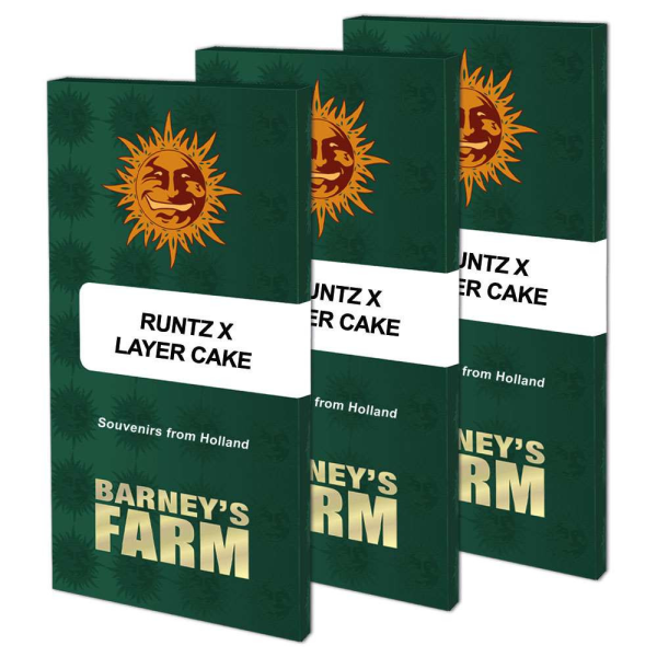 Runtz x Layer Cake - BARNEY'S FARM | TanieSianie.pl