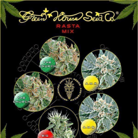 Rasta Mix - GREEN HOUSE SEEDS | TanieSianie.pl