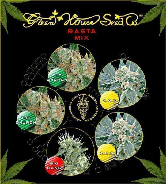 Rasta Mix - GREEN HOUSE SEEDS | TanieSianie.pl