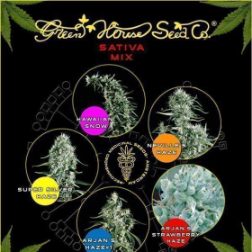 Sativa Mix - GREEN HOUSE SEEDS | TanieSianie.pl