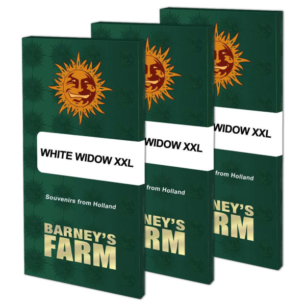 White Widow XXL - BARNEY'S FARM | TanieSianie.pl