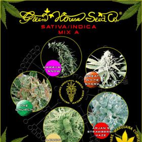 Sativa/Indica Mix A - GREEN HOUSE SEEDS | TanieSianie.pl